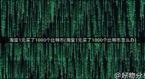 淘宝1元买了1000个比特币(淘宝1元买了1000个比特币怎么办)