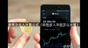 销售净收入计算公式（销售收入净额怎么计算）