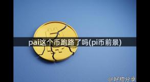 pai这个币跑路了吗(pi币前景)