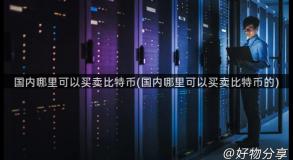国内哪里可以买卖比特币(国内哪里可以买卖比特币的)
