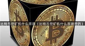 比特币挖矿机什么原理（比特币挖矿机什么原理挖的）