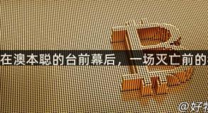 BSV在澳本聪的台前幕后，一场灭亡前的狂欢