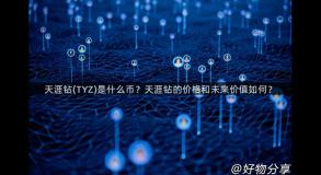 天涯钻(TYZ)是什么币？天涯钻的价格和未来价值如何？