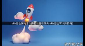 reits基金国内怎么购买（现在国内reits基金可以购买吗）