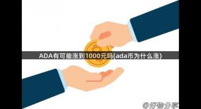 ADA有可能涨到1000元吗(ada币为什么涨)