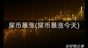 屎币暴涨(屎币暴涨今天)