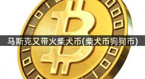 马斯克又带火柴犬币(柴犬币狗狗币)