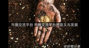 币圈交流平台 币圈交流平台的意义与发展