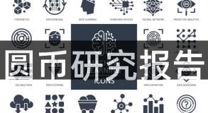 圆币研究报告