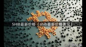 SHIB最新价格（shib最新价格美元）