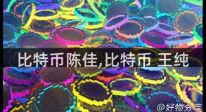 比特币陈佳,比特币 王纯