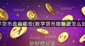 数字货币盘有哪些(数字货币貔貅盘怎么处理)
