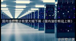 国内油价预计有望大幅下调（国内油价将迎上调）