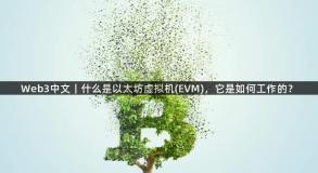 Web3中文｜什么是以太坊虚拟机(EVM)，它是如何工作的？