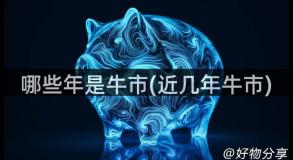 哪些年是牛市(近几年牛市)