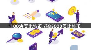 100块买比特币,花85000买比特币