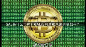 GAL是什么币种？GAL币前景和未来价值如何？