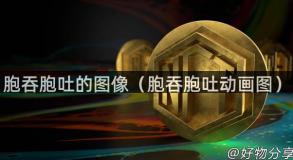 胞吞胞吐的图像（胞吞胞吐动画图）