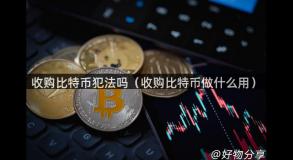 收购比特币犯法吗（收购比特币做什么用）