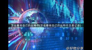 怎么查询自己的比特币(怎么查询自己的比特币交易记录)