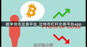 数字货币交易平台_比特币杠杆交易平台app