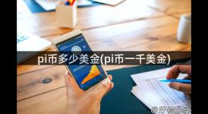 pi币多少美金(pi币一千美金)