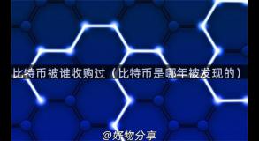 比特币被谁收购过（比特币是哪年被发现的）