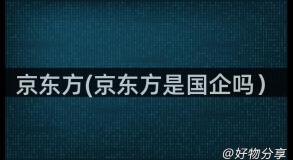 京东方(京东方是国企吗）