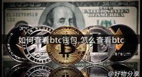 如何查看btc钱包,怎么查看btc