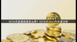 IOTA币发展前景怎么样？IOTA币2023年前景分析