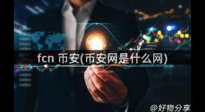 fcn 币安(币安网是什么网)