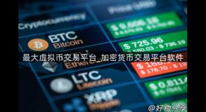 最大虚拟币交易平台_加密货币交易平台软件