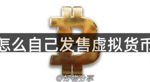 怎么自己发售虚拟货币