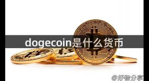 dogecoin是什么货币