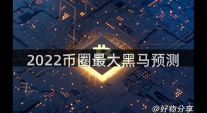 2022币圈最大黑马预测