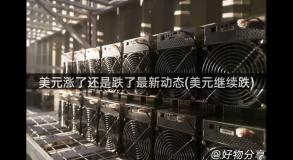 美元涨了还是跌了最新动态(美元继续跌)