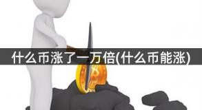 什么币涨了一万倍(什么币能涨)