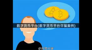 数字货币平台(数字货币平台诈骗案例)