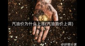 汽油价为什么上涨(汽油油价上调)