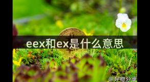 eex和ex是什么意思