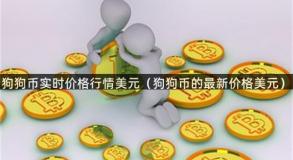 狗狗币实时价格行情美元（狗狗币的最新价格美元）