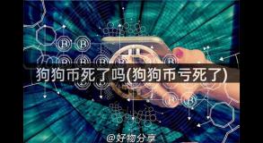 狗狗币死了吗(狗狗币亏死了)