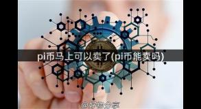 pi币马上可以卖了(pi币能卖吗)