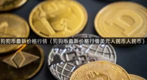 狗狗币最新价格行情（狗狗币最新价格行情美元人民币人民币）