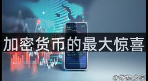 加密货币的最大惊喜