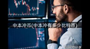 中本冲币(中本冲有多少比特币)