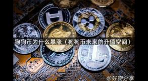 狗狗币为什么暴涨（狗狗币未来的升值空间）