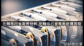 比特币行业账务分析,比特币行业账务处理流程