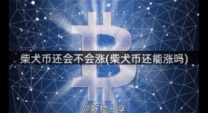 柴犬币还会不会涨(柴犬币还能涨吗)