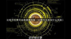 比特币交易平台有哪些风险（比特币交易有什么风险）